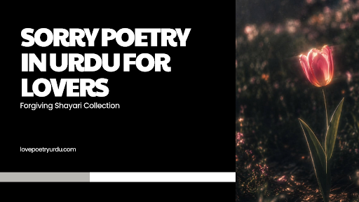 A poetic banner highlighting a forgiving Shayari collection of Sorry Poetry in Urdu for lovers, featuring a single pink tulip flower illuminated in a dark, moody field.