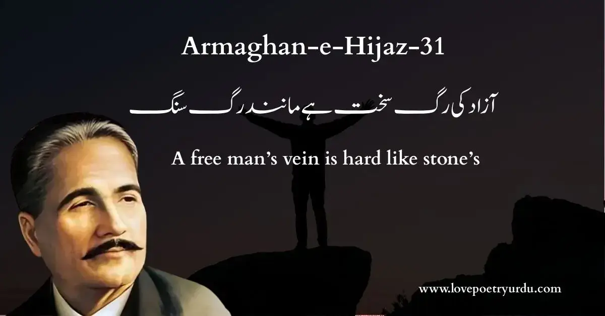 (Armaghan-e-Hijaz-31) Azad Ki Rag Sakht Hai Manid Rag-e-Sang (آزاد کی رگ سخت ہے مانند رگ سنگ) A free man’s vein is hard like stone’s - Lovepoetryurdu.com