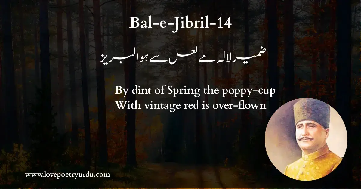 Bal-e-Jibril-14 Zameer-e-Lala Mai-e-Laal Se Huwa Labraiz, - lovepoetryurdu.com