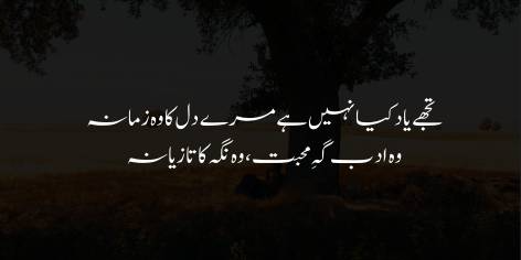 Tujhe Yaad Kya Nahin Hai Mere Dil Ka Woh Zamana

Woh Adab Gah-e-Mohabbat, Woh Nigah Ka Taziyana

Have you forgotten then my heart of old,

That college of Love, that whip that bright eyes hold?