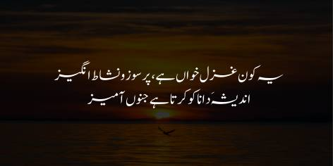 Ye Kon Ghazal Khawan Hai, Pursouz-o-Nishat Angaiz

Andesha’ay Dana Ko Karta Hai Junoon Amaiz

Who is this composer of ghazals, who is burningly passionate and cheerful?

He makes the thoughts of the wise go mad.