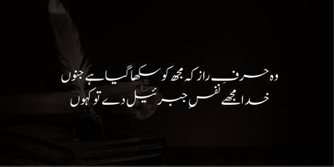 Woh Harf-e-Raaz Ke Mujh Ko Sikha Gya Hai Junoon

Khuda Mujhe Nafs-e-Jibraeel De To Kahoon

The breath of Gabriel if God on me bestow,

I may in words express what Love has made me know.
