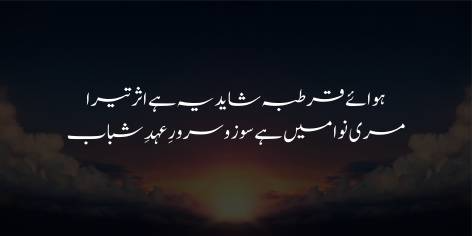 Hawa-E-Qurtuba ! Shaid Ye Hai Asar Tera

Meri Nawa Mein Hai, Souz-Surroor-E-Ehad-E-Shabab

O Cordoba! Perhaps some magic in thy air

Has breathed into my song The buoyancy of youth.