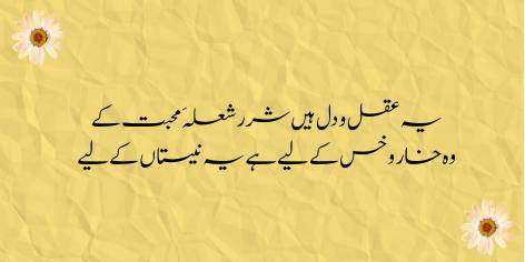 Ye Aqal-o-Dil Hain Sharar Shola-e-Mohabbat Ke

Woh Khaar-o-Khs Ke Liye Hai, Ye Neetan Ke Liye

The sparks Reason and Heart are shed of the flame of Love:

That one to burn the straw, this one for burning the field of reeds.