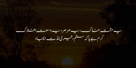 Ye Musht-e-Khaak, Ye Sar Sar, Ye Wusaat-e-Aflak

Karam Hai Ya Ke Sitam Teri Lazzat-e-Ijad

This handful of dust, this fiercely blowing wind, and these vast, limitless heavens—

Is the delight you take in creation a blessing or some wanton joke?