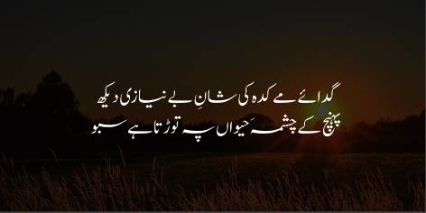 Gada’ay May Kudah Ki Shan-e-Be-Niazi Dekh

Pohanch Ke Chashma’ay Hiwan Pe Torhta Hai Saboo !

Look at the highness/power of Independence by a Tavern's astute (Fakir)

As He breaks his flagon after reaching the Fountain of Life (Water of Life)