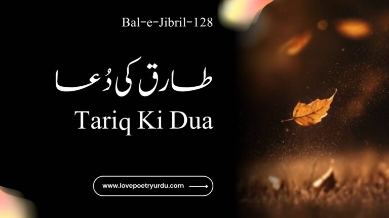 (Bal-e-Jibril-128) Tariq Ki Dua (طارق کی دُعا) - lovepoetryurdu.com