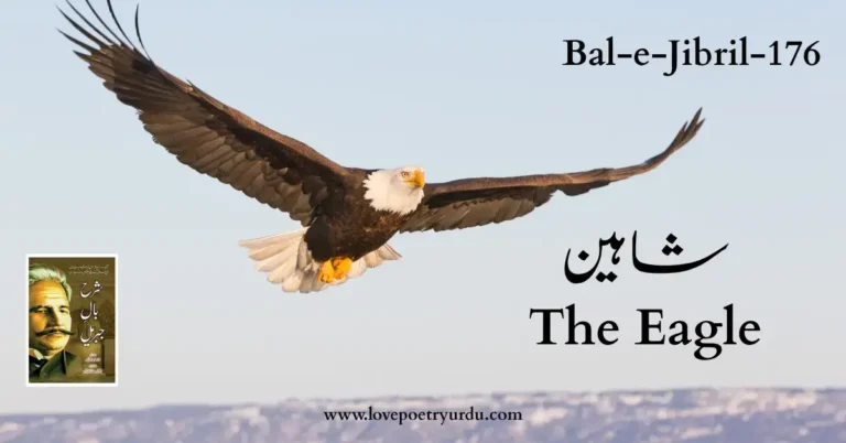 Bal-e-Jibril-176 Shaheen