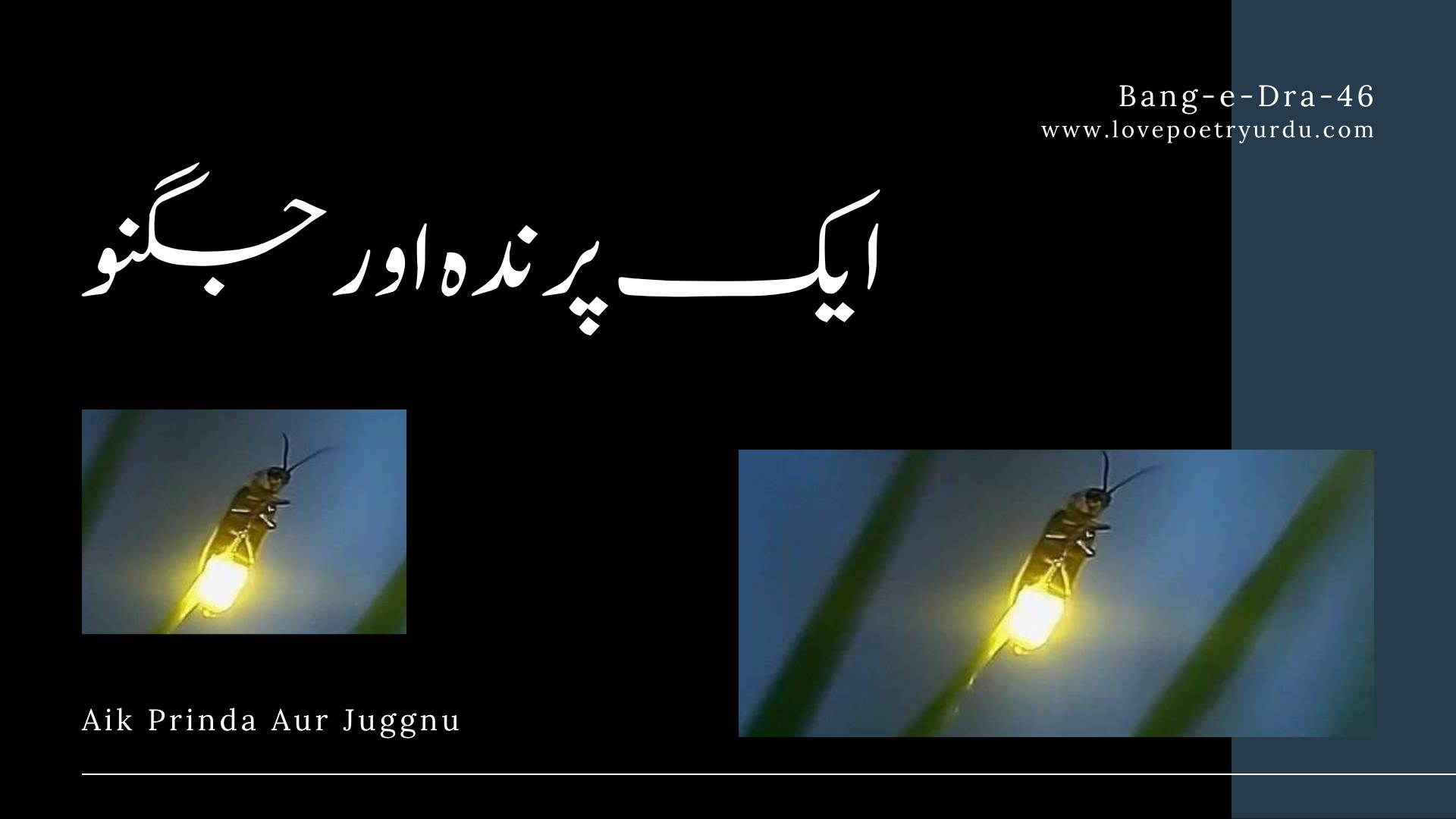 Bang-e-Dra-46 Aik Prinda Aur Juggnu