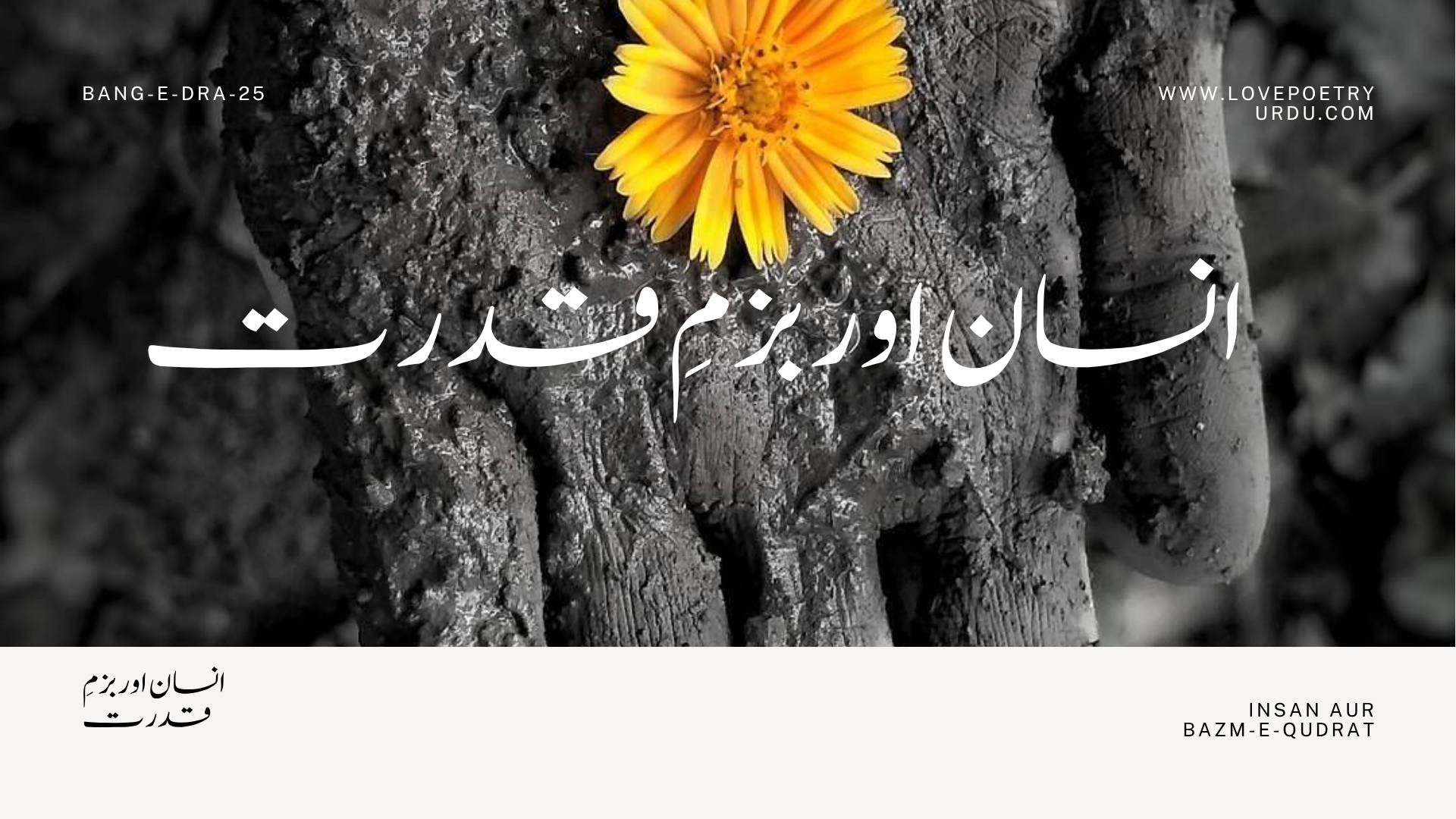 (Bang-e-Dra-25) Insan Aur Bazm-e-Qudrat ( انسان اور بزمِ قدرت )