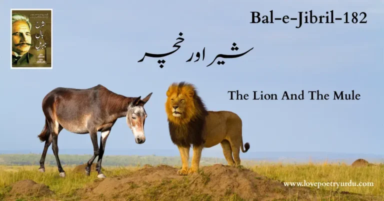 (Bal-e-Jibril-182) Sher Aur Khachar ( شیر اور خچر )