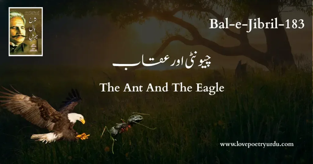 Allama Iqbal’s Bal-e-Jibril (183) – Chionti Aur Uqaab (The Ant and the Eagle) teaches true greatness through lofty thoughts.