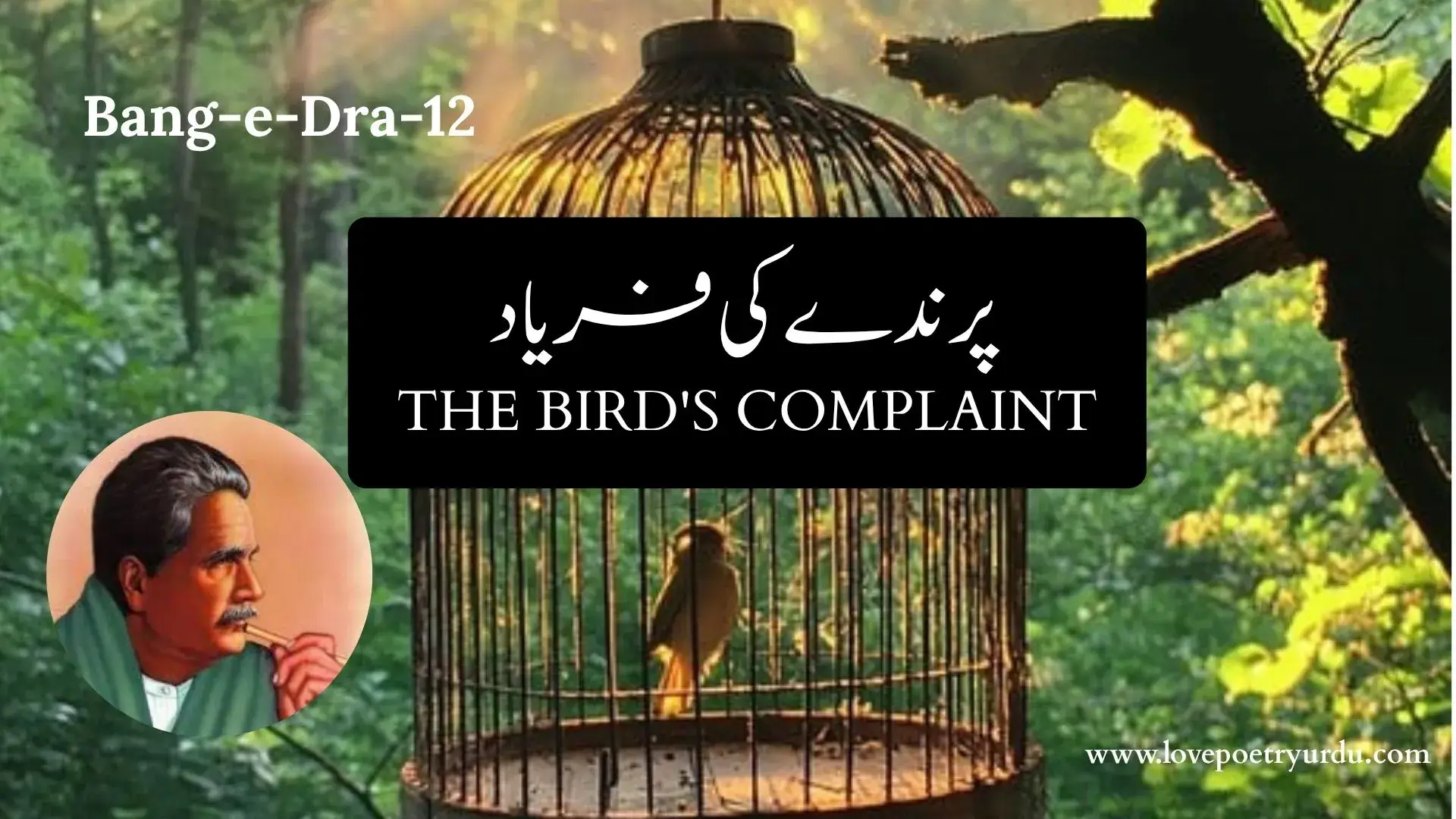 (Bang-e-Dra-12) Parinde Ki Faryad (The Bird's Complaint)  پرندے کی فریاد