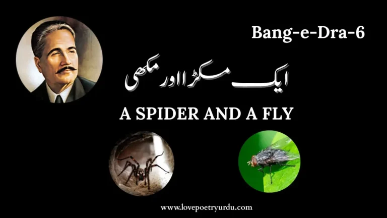 (Bang-e-Dra-6) Aik Makra Aur Makhi ایک مکڑا اور مکھی