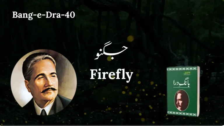 (Bang-e-Dra-40) Juggnu جگنو