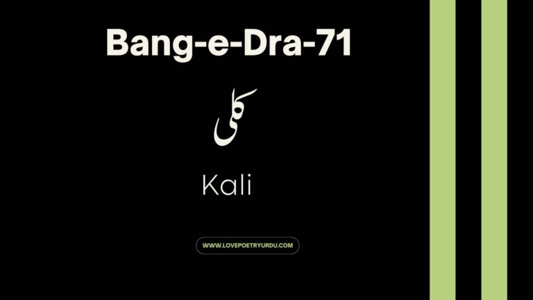 (Bang-e-Dra-71) Kali ( کلی )