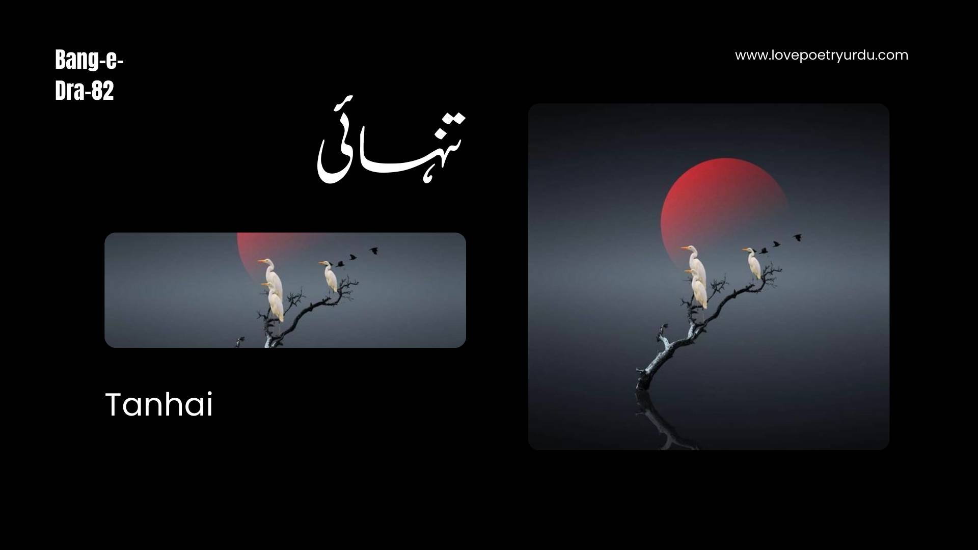 (Bang-e-Dra-82) Tanhai ( تنہائی )