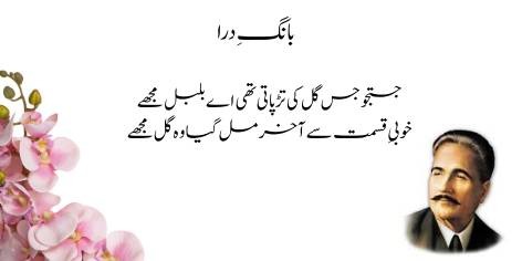 (Bang-e-Dra-73) Wisal وِصال