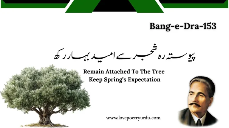(Bang-e-Dra-153) Pewasta Reh Shajar Se, Umeed-e-Bahar Rakh پیوستہ رہ شجر سے امید بہار رکھ