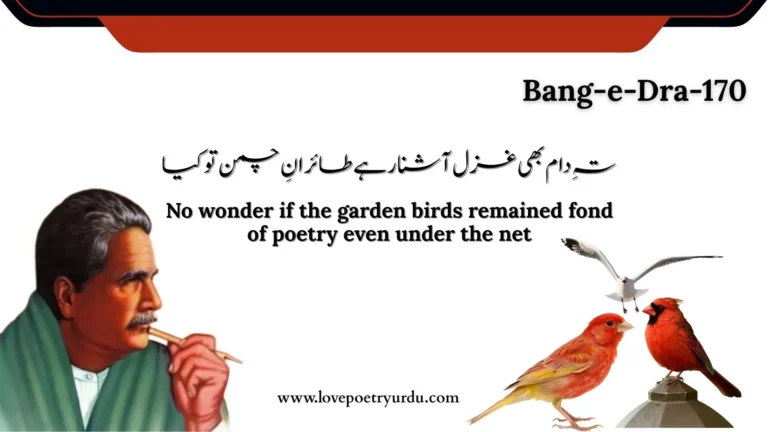 Teh-e-Daam Bhi Ghazal Aashna Rahe Tairan-e-Chaman To Kya