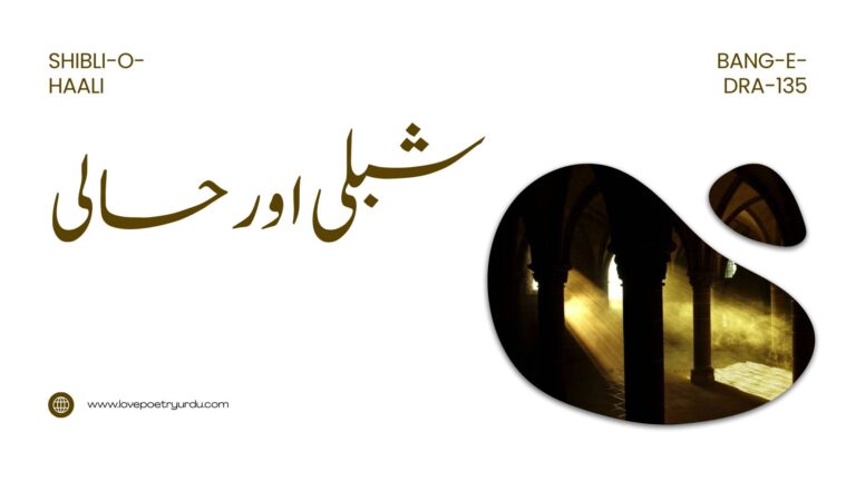(Bang-e-Dra-135) Shibli-o-Haali ( شبلی اور حالی )