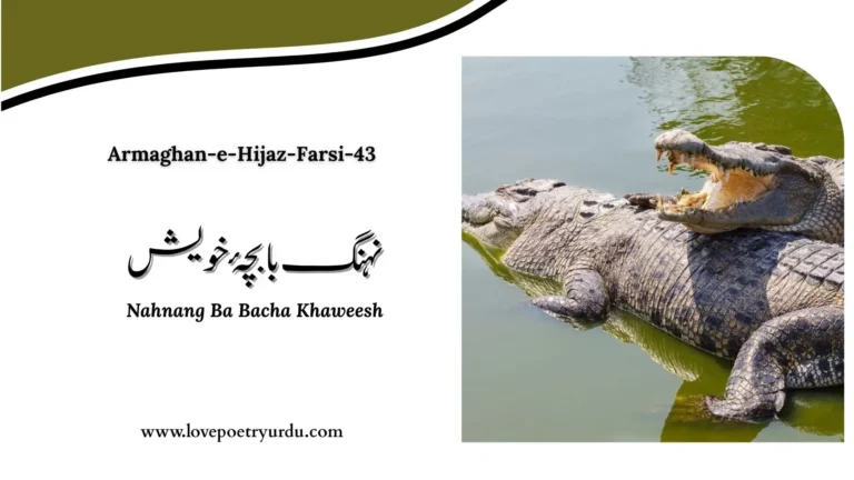 (Armaghan-e-Hijaz-Farsi-43) Huzoor-e-Millat 17: Nahnang Ba Bacha Khaweesh نہنگ با بچۂ خویش
