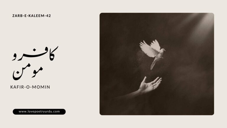 Kafir-o-Momin