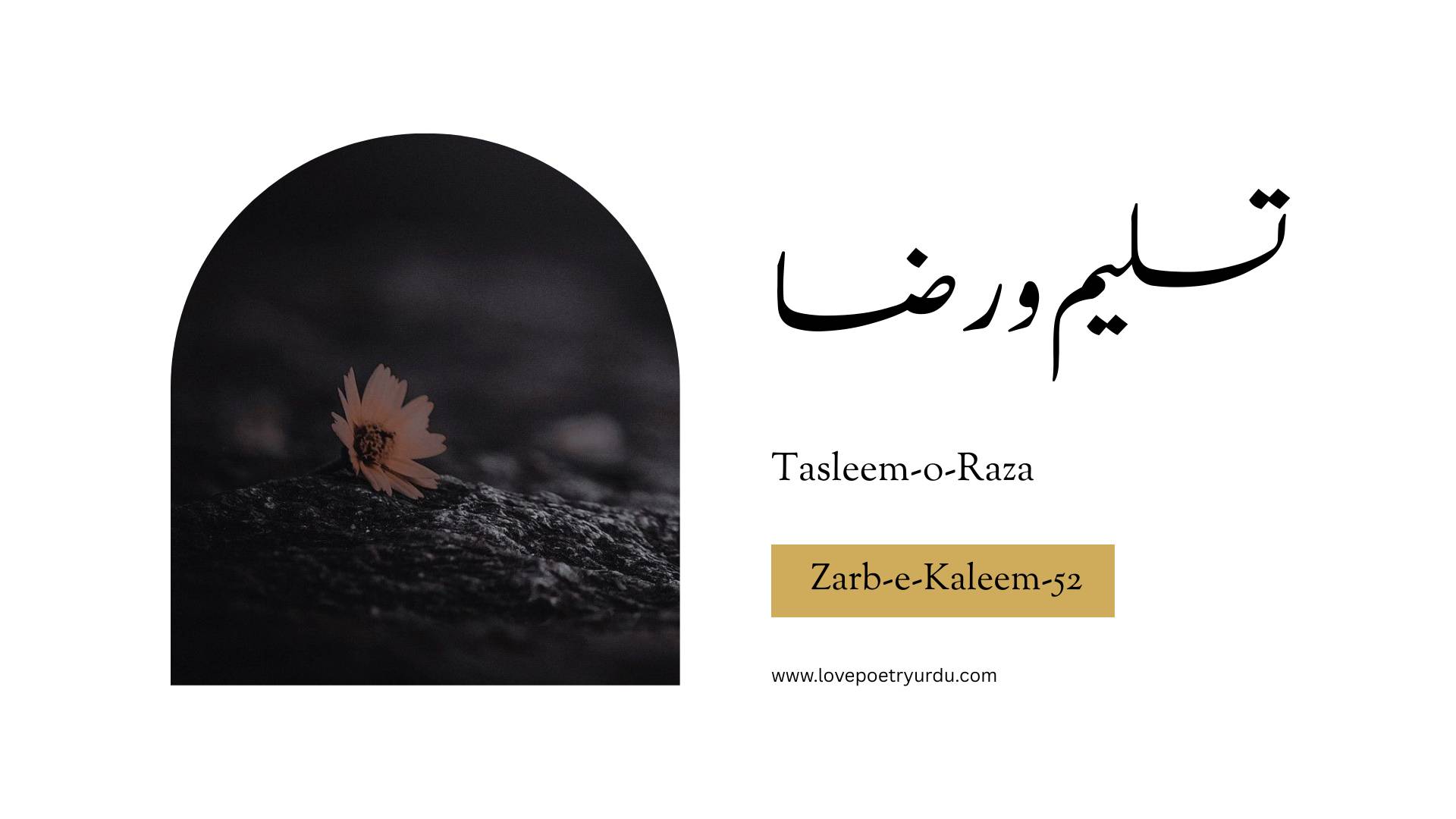 (Zarb-e-Kaleem-52) Tasleem-o-Raza ( تسلیم و رضا )