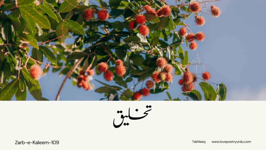 Zarb-e-Kaleem-109 Takhleeq