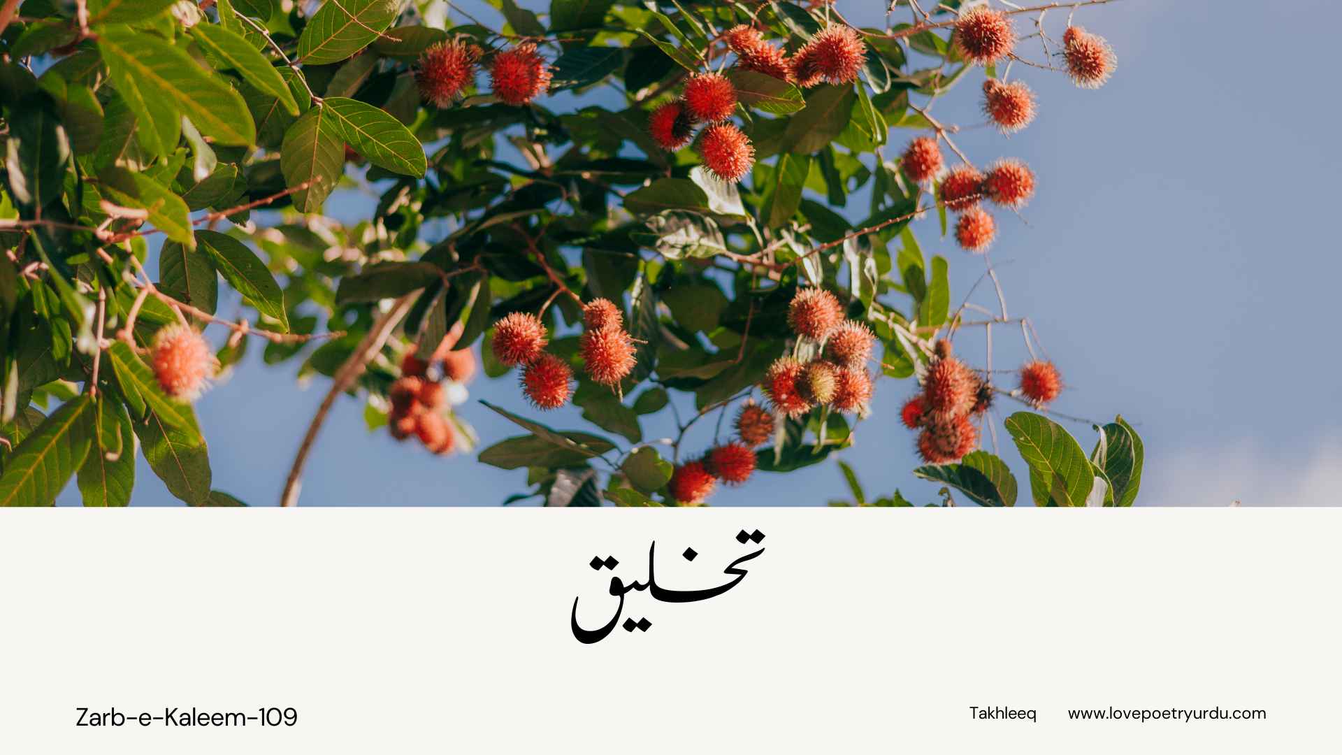 Zarb-e-Kaleem-109 Takhleeq