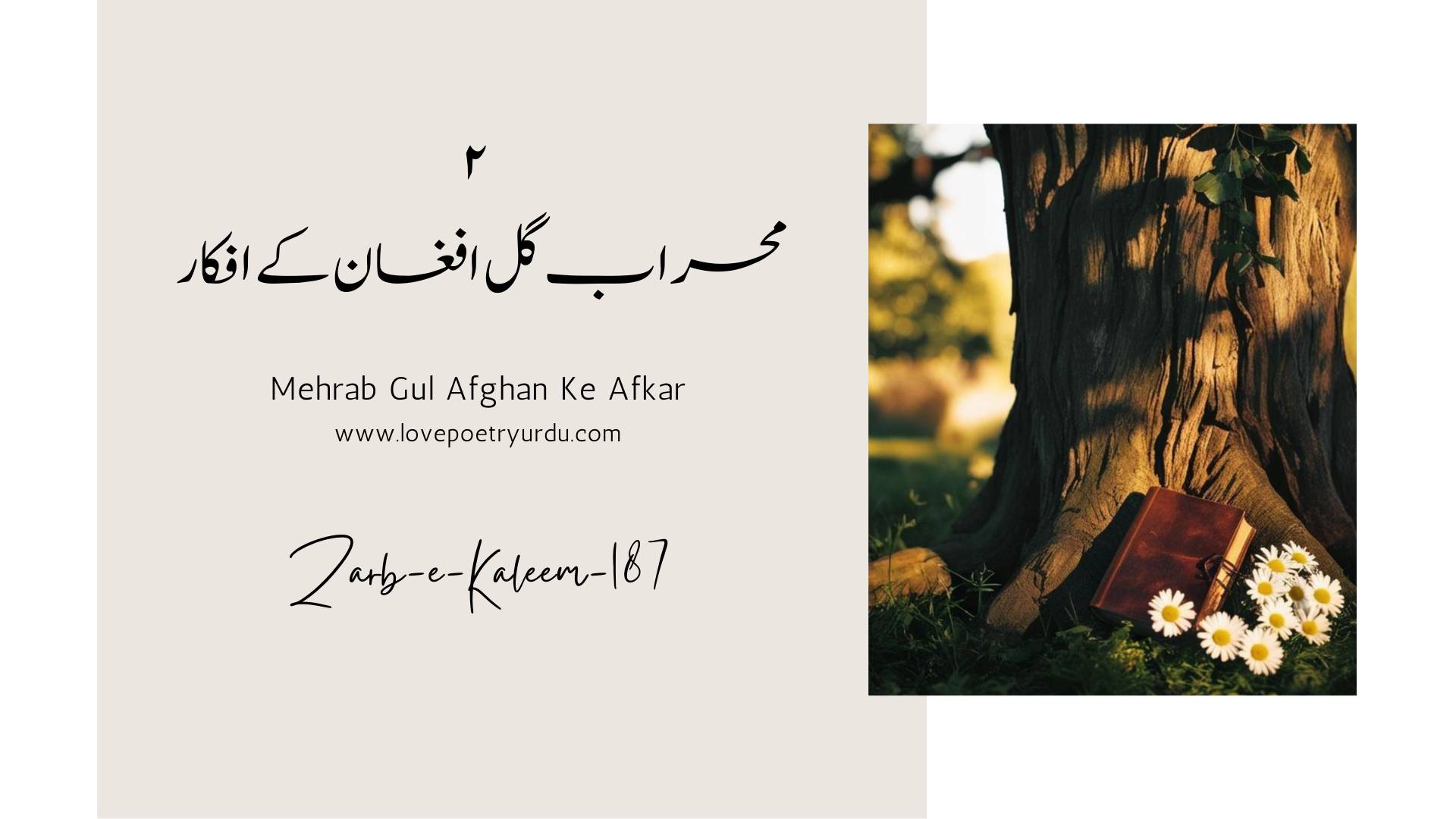 (Zarb-e-Kaleem-187) Haqiqat-e-Azali Hai Raqabat-e-Aqwam (حقیقت ازلی ہے رقابت اقوام). Nations have been fighting among themselves