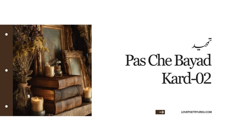 Pas Che Bayad Kard-02