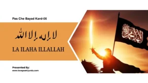 Pas Che Bayad Kard-06