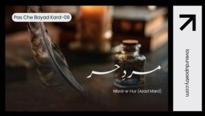 Pas Che Bayad Kard-08