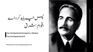 Pas Che Bayad Kard-13