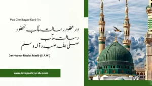 Pas Che Bayad Kard-14