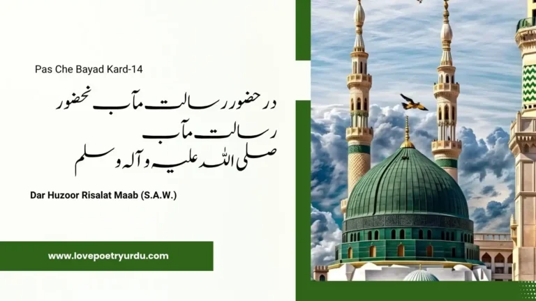 Pas Che Bayad Kard-14