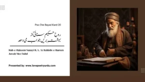 Pas Che Bayad Kard-20