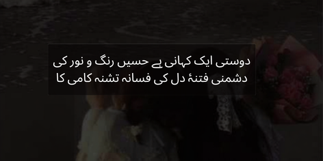 Yaari Bhari Shayari in Urdu describing friendship as a beautiful story of color and light